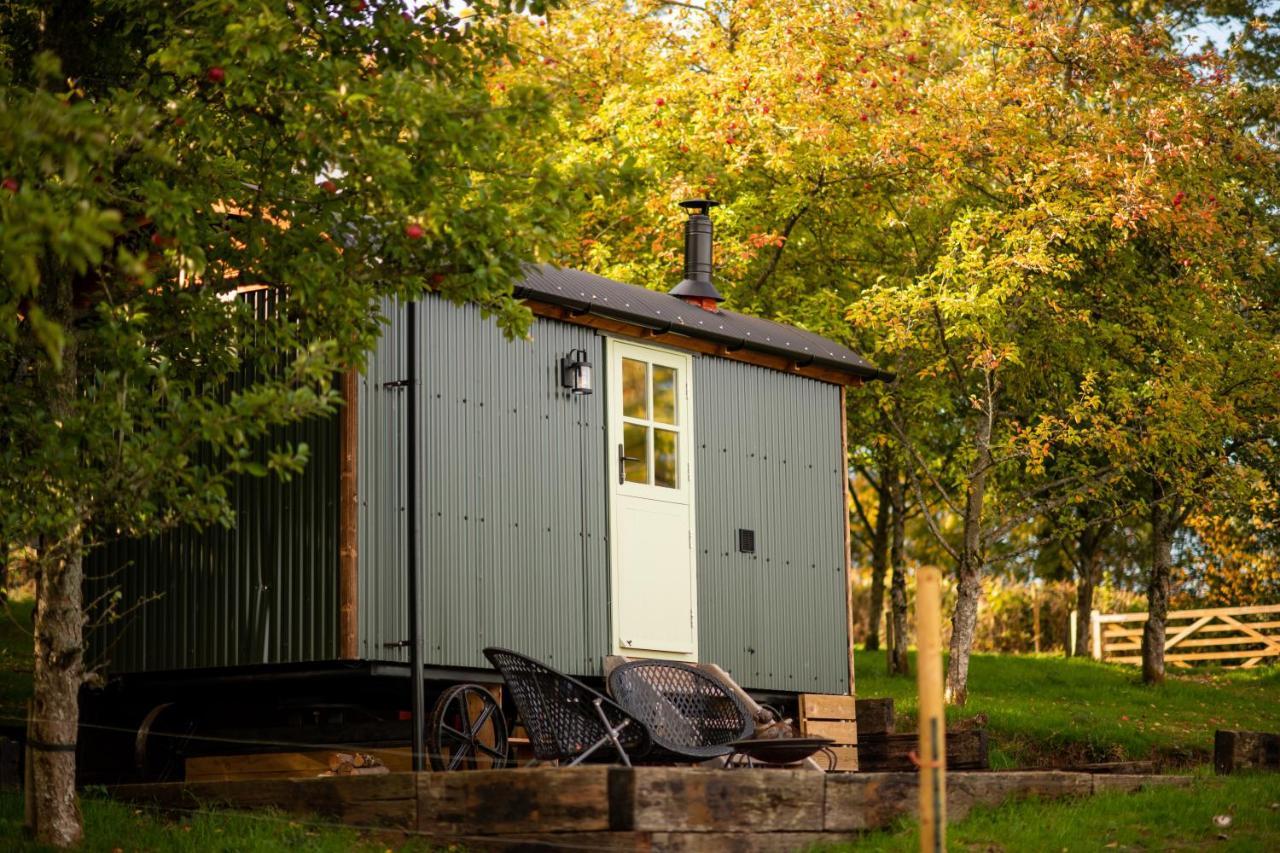 Harrys Hideout - Shepherd'S Huts At Harrys Cottages Pen-y-Clawdd Dış mekan fotoğraf